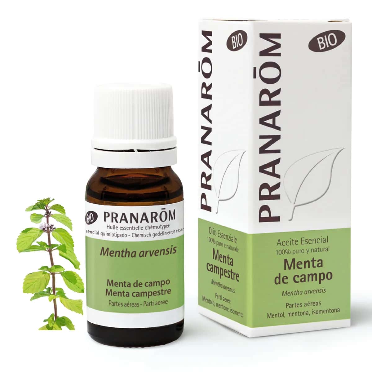 Pranarom Aceite Esencial Menta de Campo 10 ml - Bio de Pranarôm