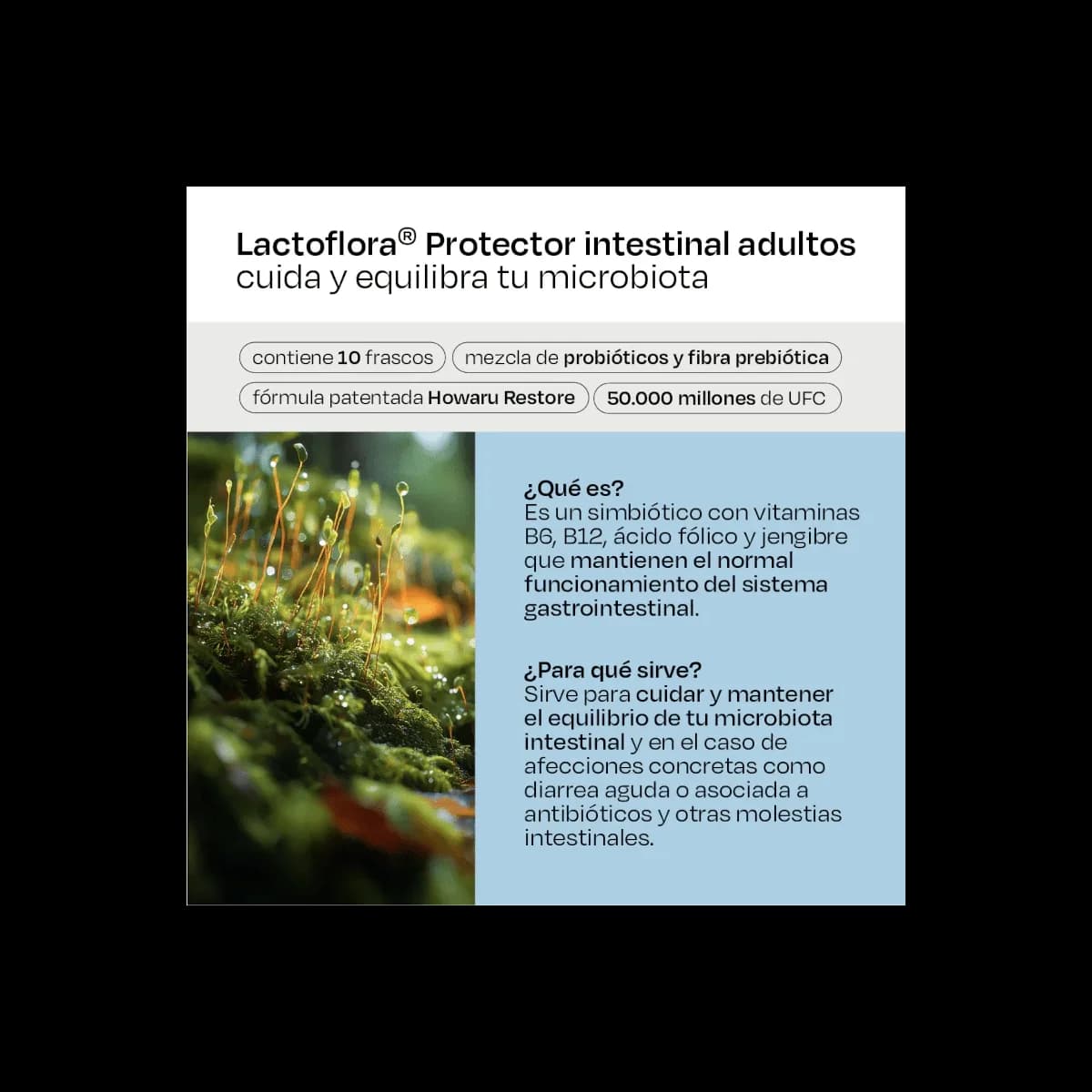 Lactoflora Protector Intestinal Adulto 10 Viales 7 ML Sabor Fresa de Lactoflora — imagen 6