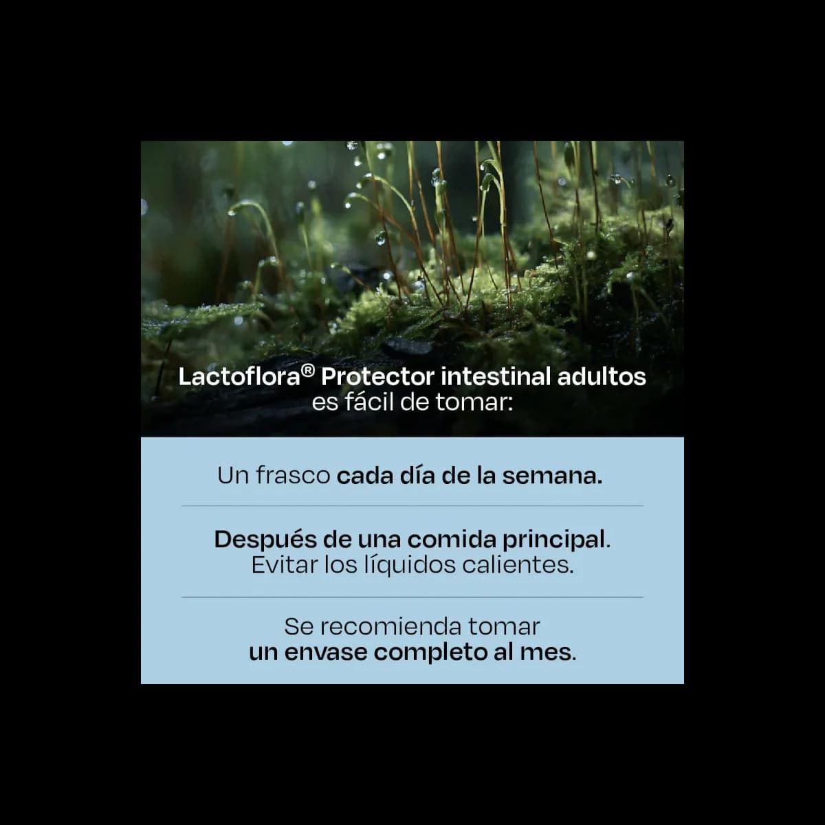 Lactoflora Protector Intestinal Adulto 10 Viales 7 ML Sabor Fresa de Lactoflora — imagen 9