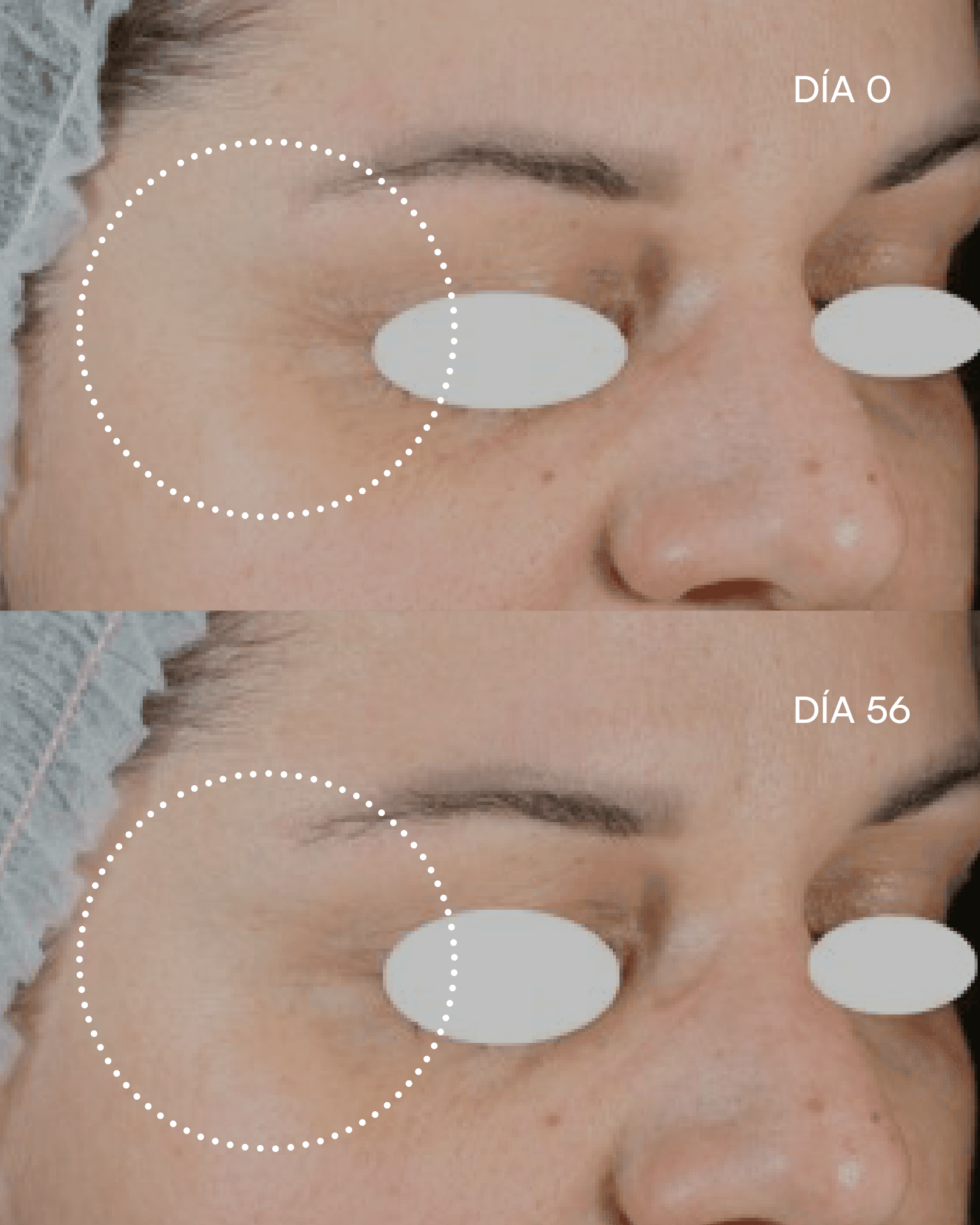 FUNCIÓN BARRERA Fórmula plus antiedad intensiva de Gema Herrerías — imagen 5