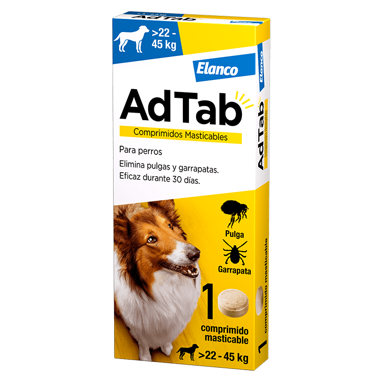 AdTab Perros de Adtab — imagen 5