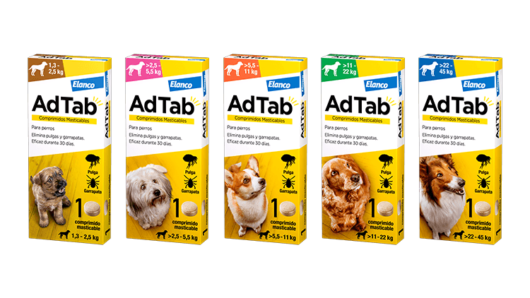AdTab Perros de Adtab — imagen 7