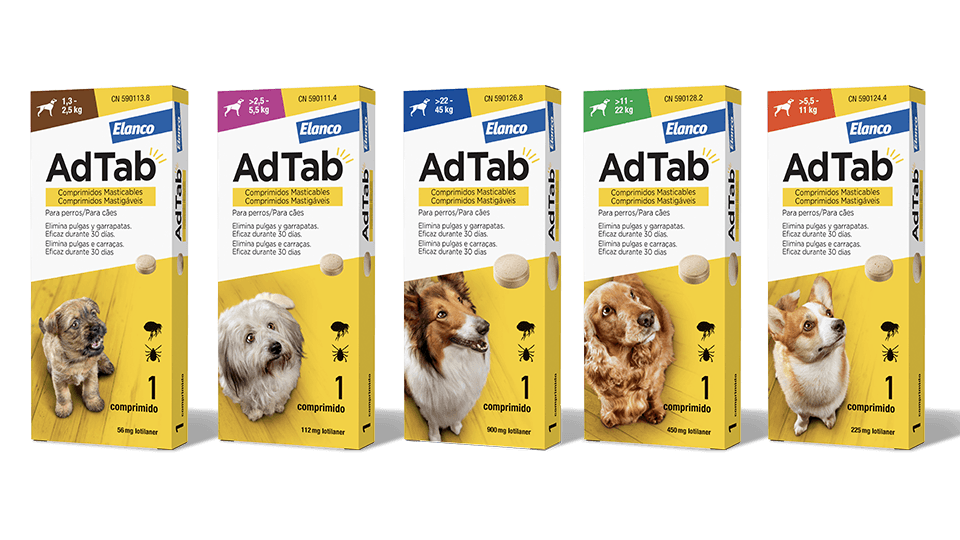 AdTab Perros de Adtab — imagen 6