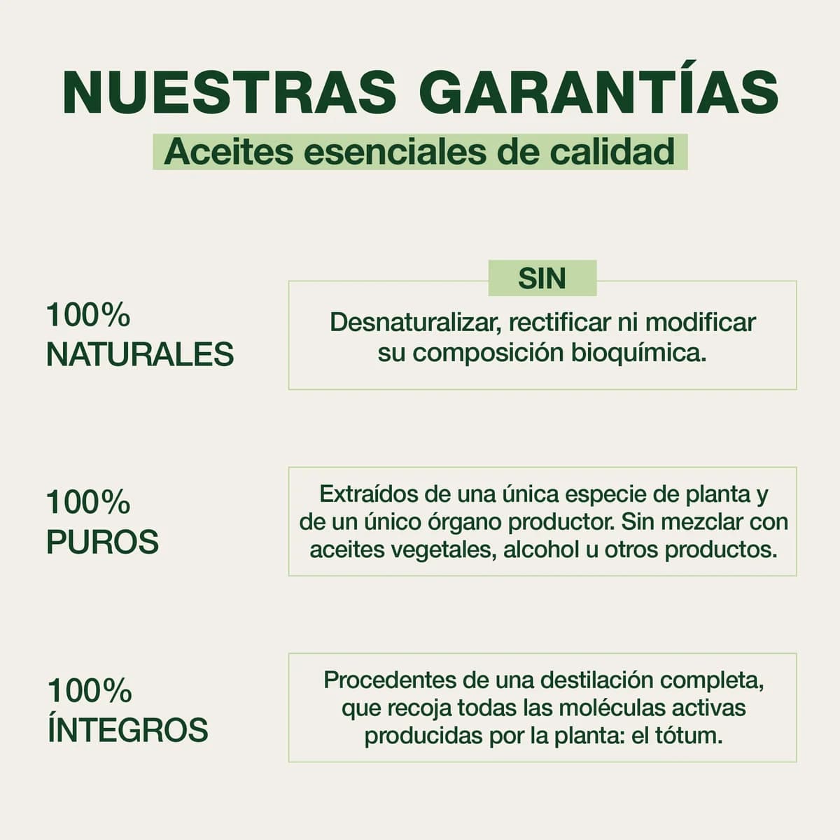 Pranarom Bálsamo Pectoral - Bio de Pranarôm — imagen 3