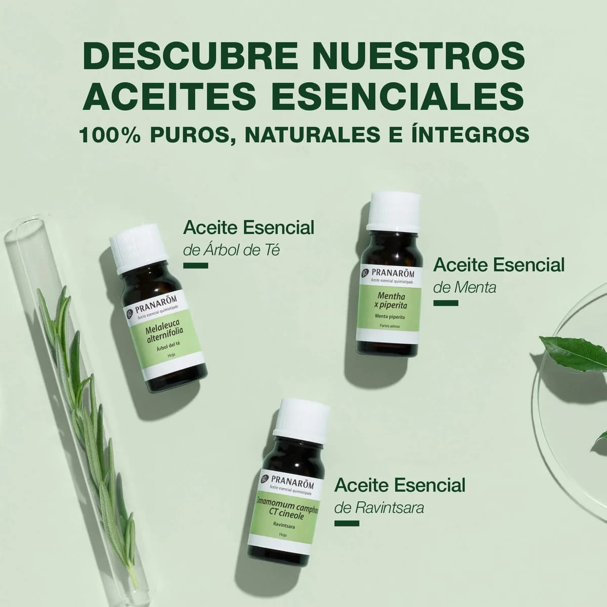 Pranarôm Árbol del Té 10 ml Bio de Pranarôm — imagen 6