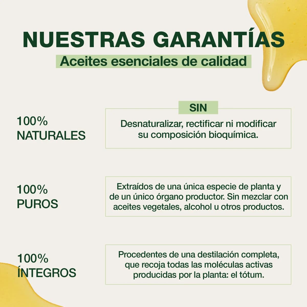 Pranarom Herbalgem Jarabe de los Fumadores Bio 250 ml de Pranarôm — imagen 3