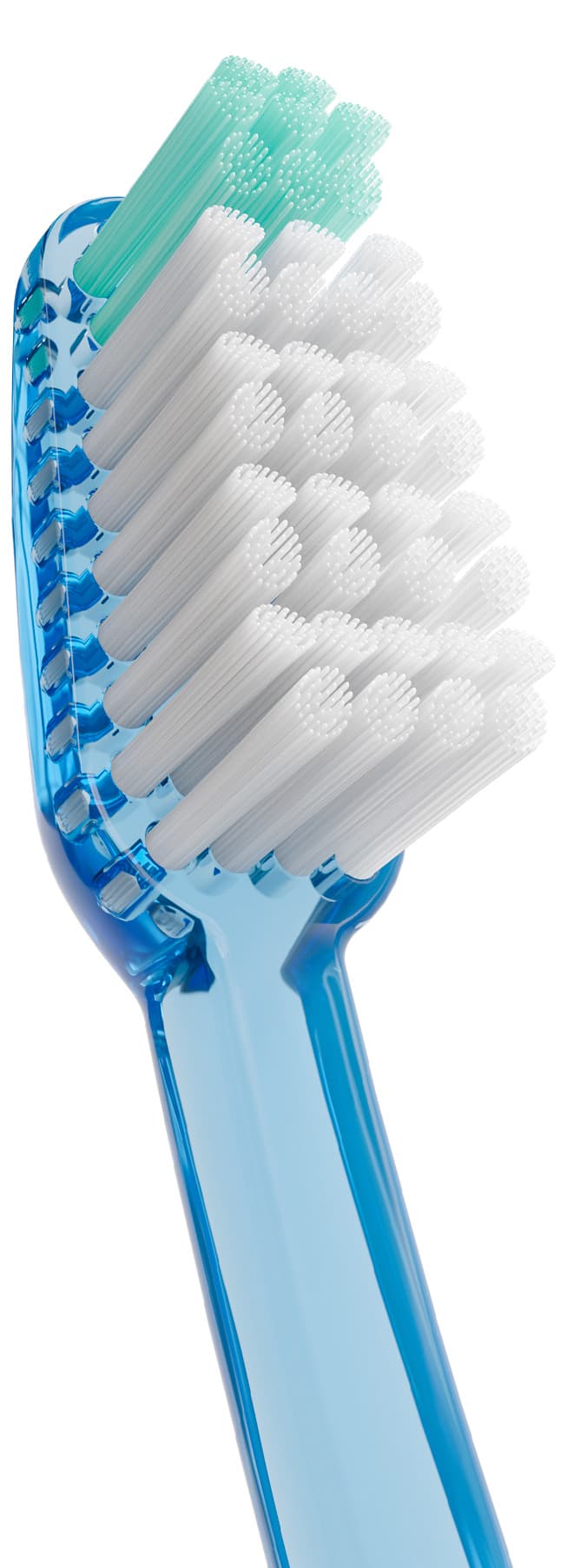 Cepillo Dental Adulto - Vitis Suave de Vitis — imagen 3