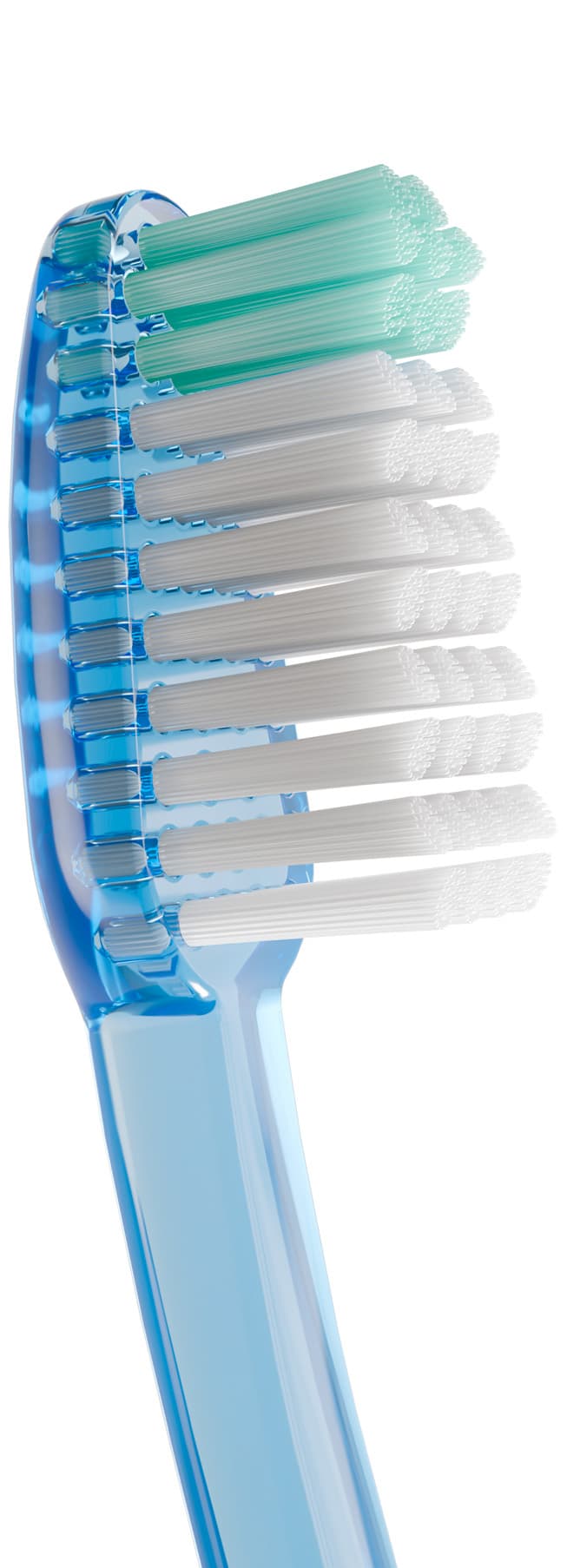 Cepillo Dental Adulto - Vitis Suave de Vitis — imagen 4