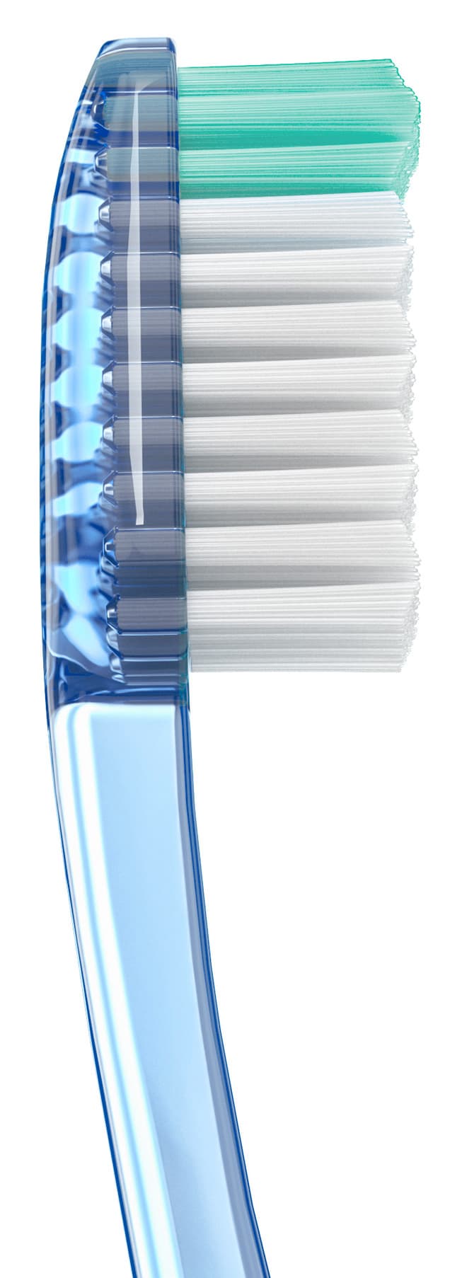 Cepillo Dental Adulto - Vitis Suave de Vitis — imagen 5