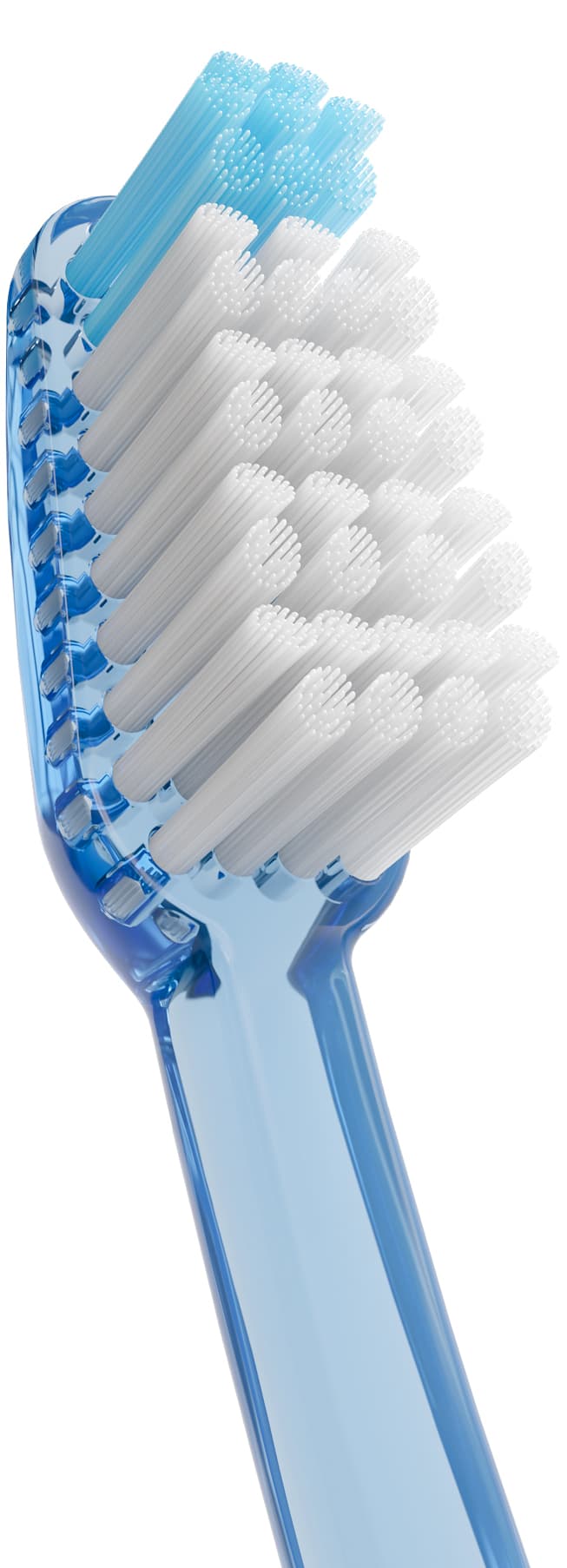 Cepillo Dental Adulto - Vitis Medio de Vitis — imagen 3