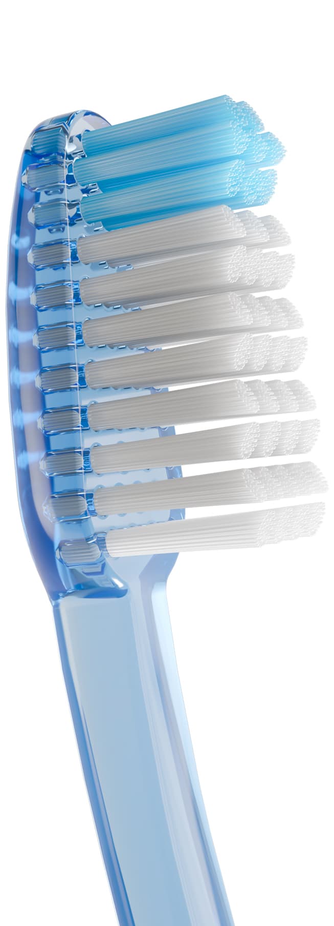 Cepillo Dental Adulto - Vitis Medio de Vitis — imagen 4