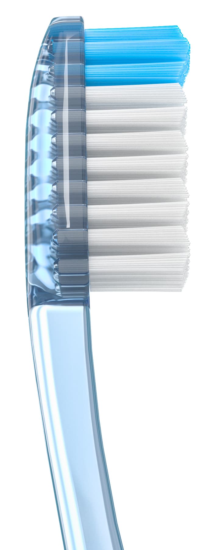 Cepillo Dental Adulto - Vitis Medio de Vitis — imagen 5