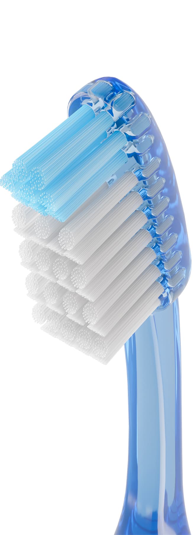 Cepillo Dental Adulto - Vitis Medio de Vitis — imagen 6