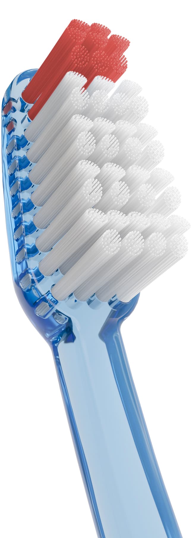 Cepillo Dental Adulto - Vitis Duro de Vitis — imagen 3