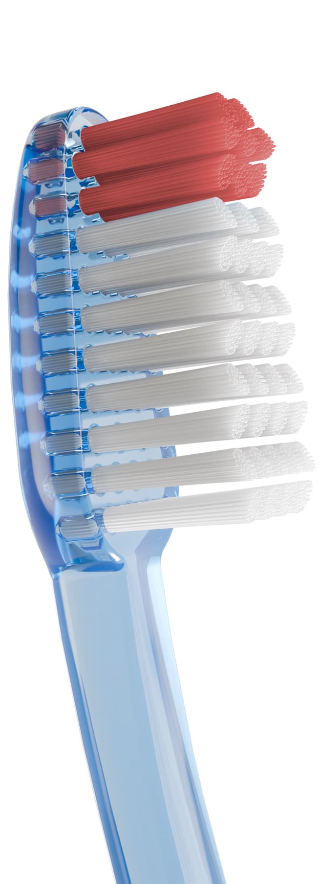 Cepillo Dental Adulto - Vitis Duro de Vitis — imagen 4