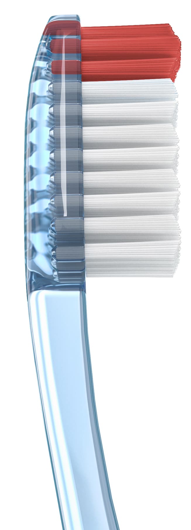 Cepillo Dental Adulto - Vitis Duro de Vitis — imagen 5