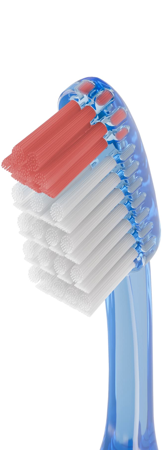 Cepillo Dental Adulto - Vitis Duro de Vitis — imagen 6