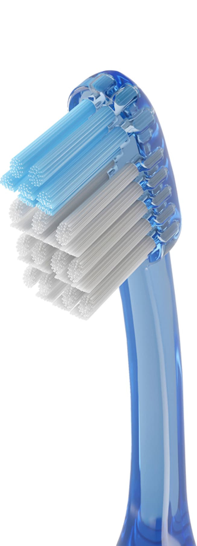 Cepillo Dental Adulto - Vitis Medio Access de Vitis — imagen 6