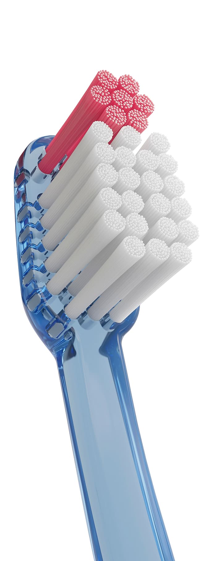 Cepillo Dental Adulto - Vitis Encias de Vitis — imagen 3