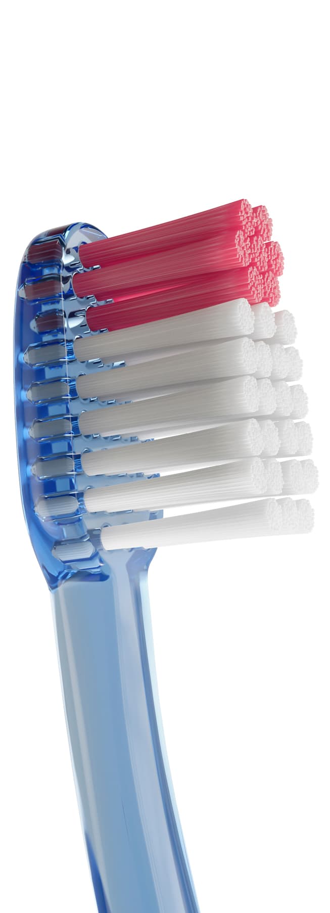 Cepillo Dental Adulto - Vitis Encias de Vitis — imagen 4