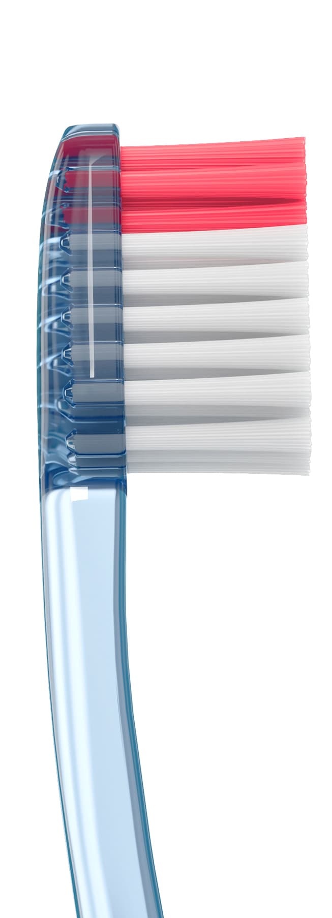 Cepillo Dental Adulto - Vitis Encias de Vitis — imagen 5