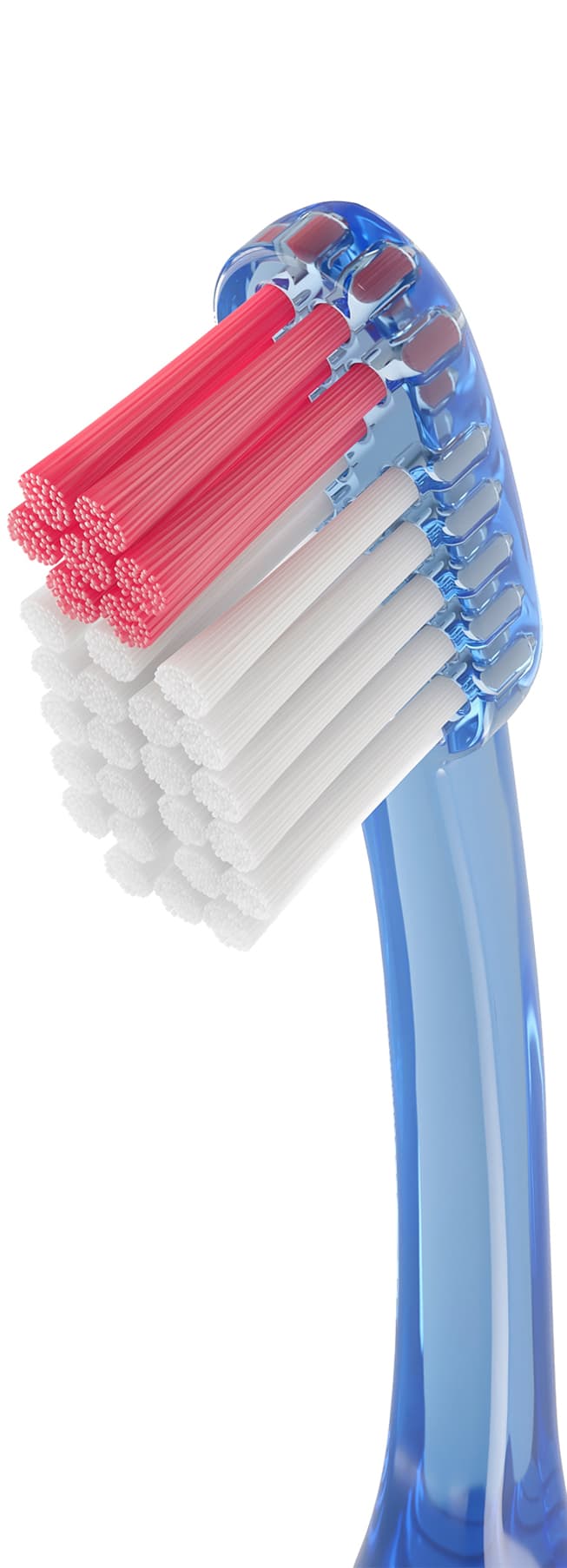 Cepillo Dental Adulto - Vitis Encias de Vitis — imagen 6