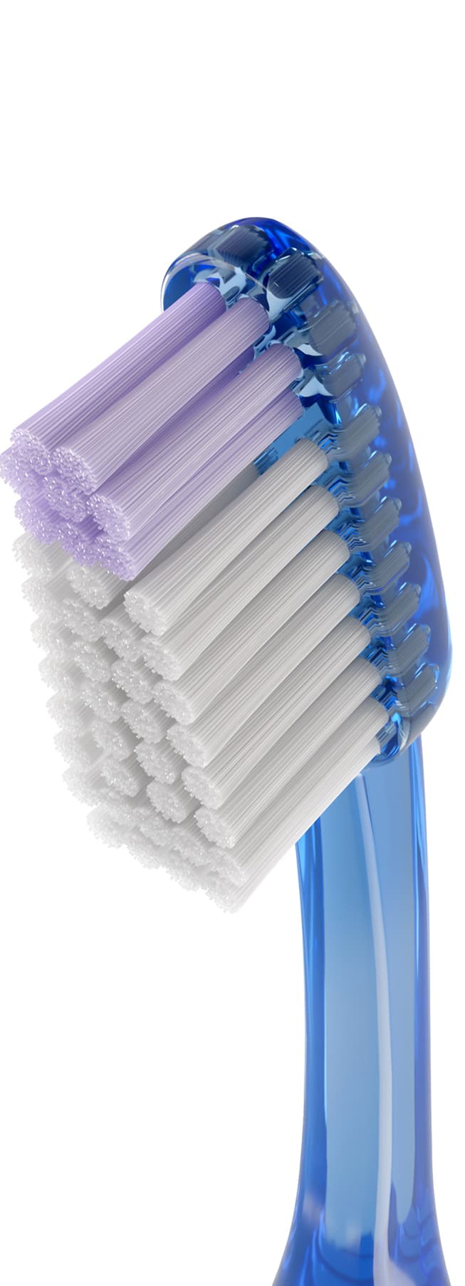 Cepillo Dental Adulto - Vitis Ultrasuave de Vitis — imagen 6