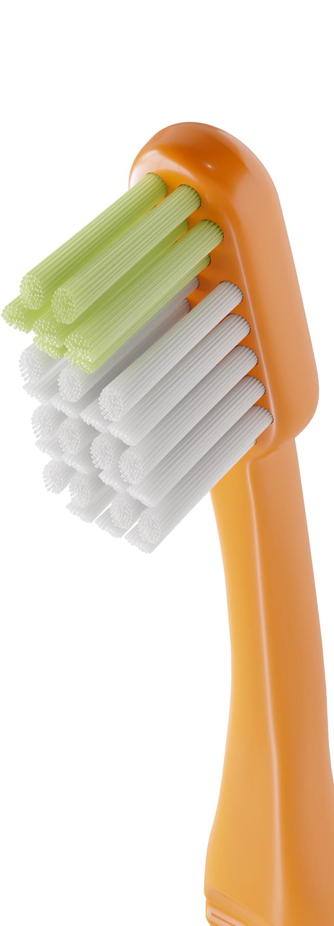 Cepillo Dental Infantil - Vitis Junior de Vitis — imagen 6
