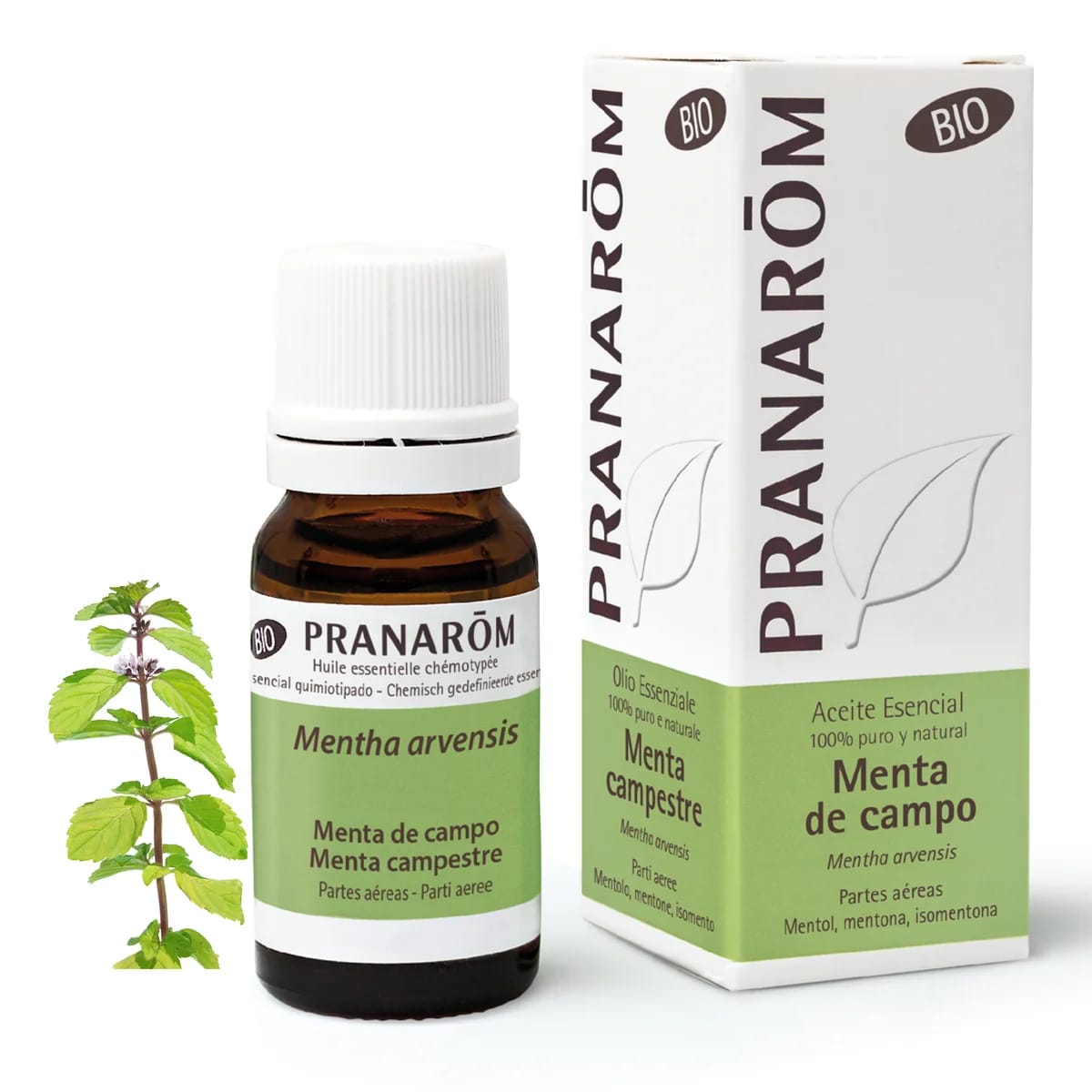 Pranarom Aceite Esencial Menta de Campo 10 ml - Bio de Pranarôm