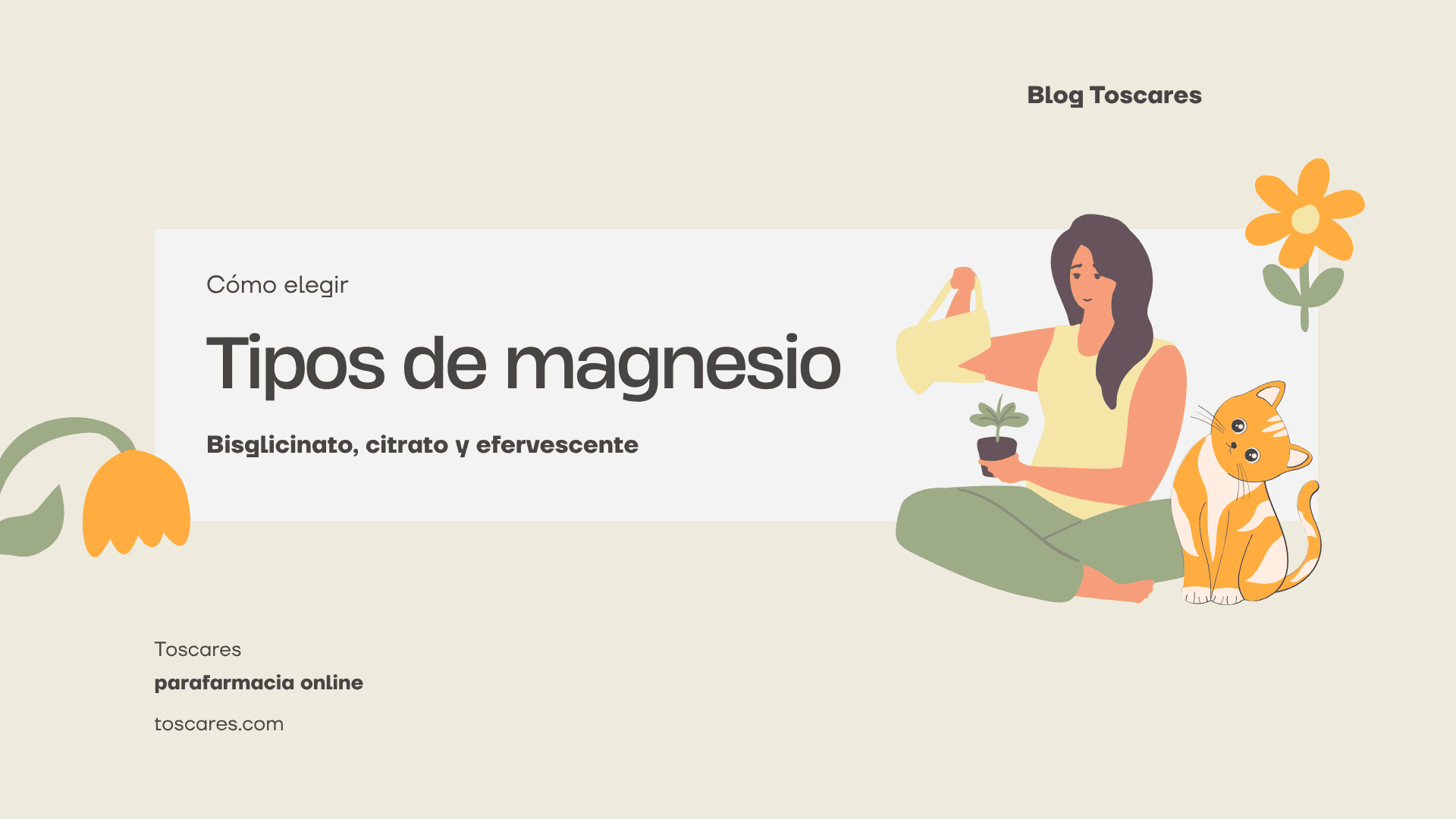 Tipos de magnesio — bisglicinato, citrato y otras formas; productos en Toscares