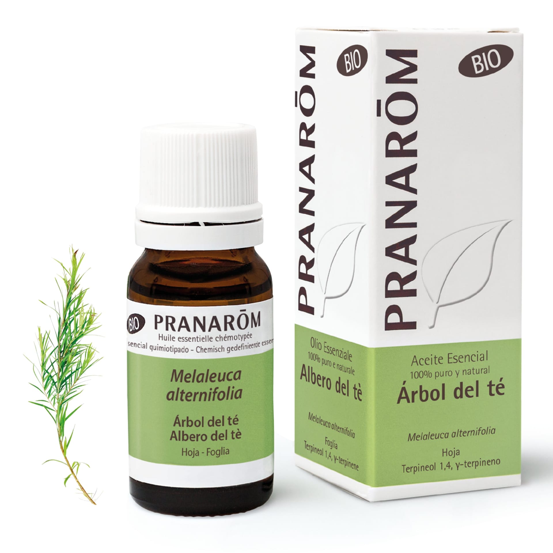 Pranarôm Aceite Esencial Árbol del Té Bio 10 ml de Pranarôm — imagen 1 de 3