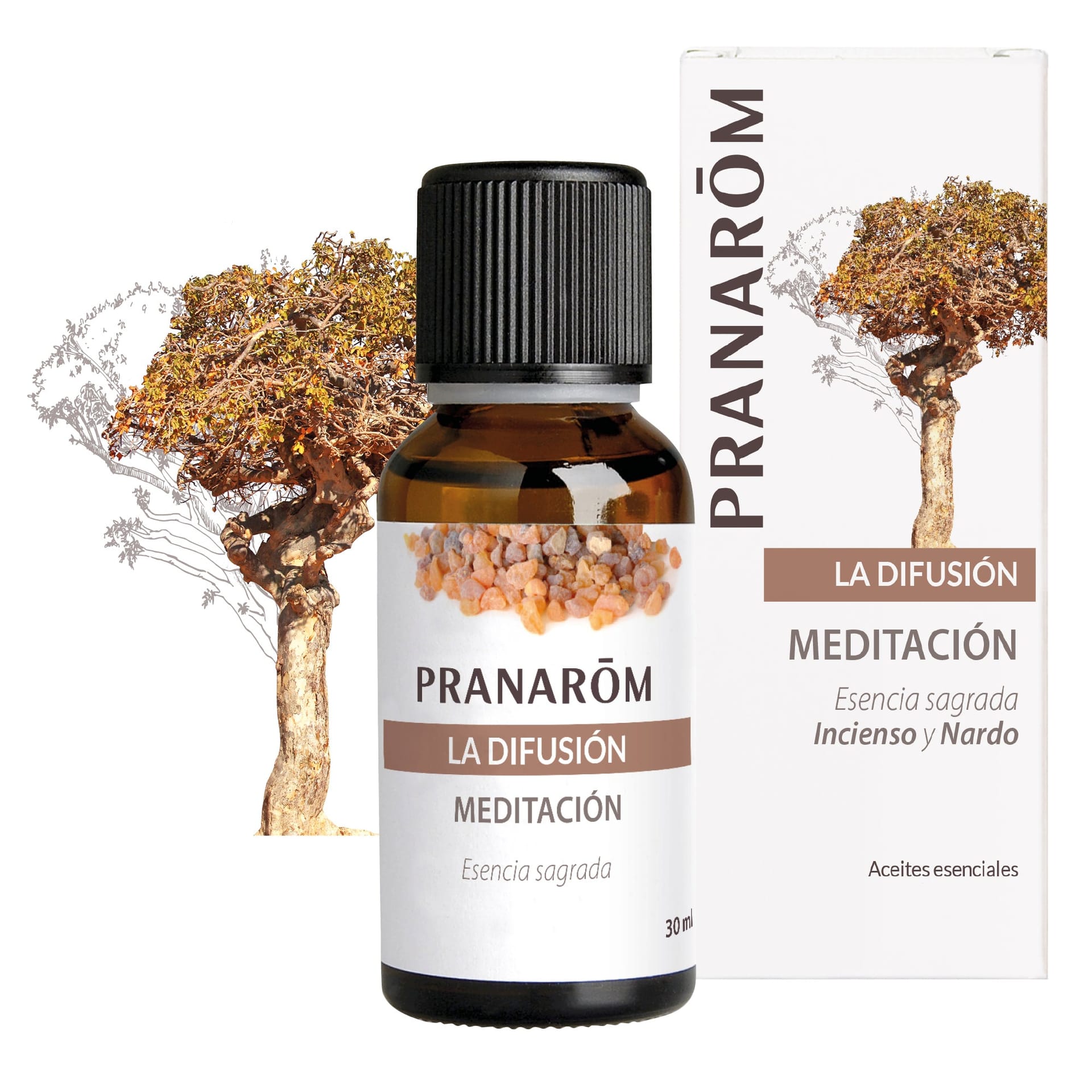 Pranarôm Difusión Meditación de Pranarôm